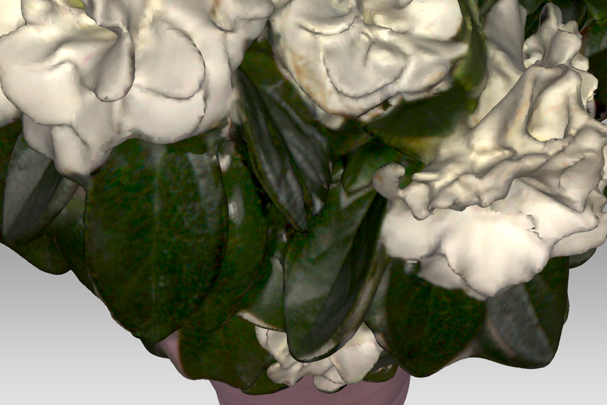 op dit 3D model kan u zien dat de kleinste details van de bloemen en de blaadjes terug te vinden zijn.