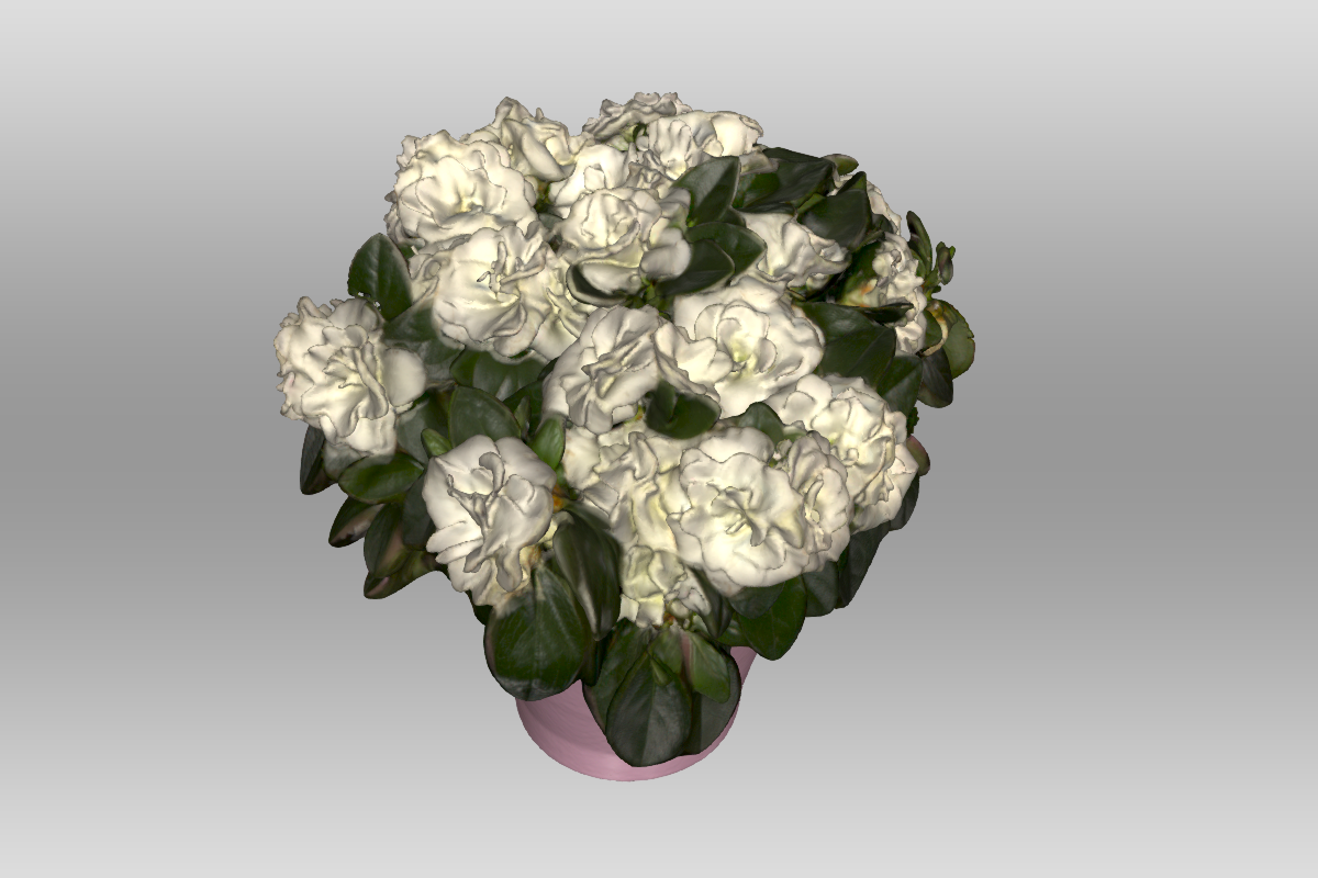 een screenshot van het 3D model van het plantje in een roze bloempot van bovenaf bekeken.