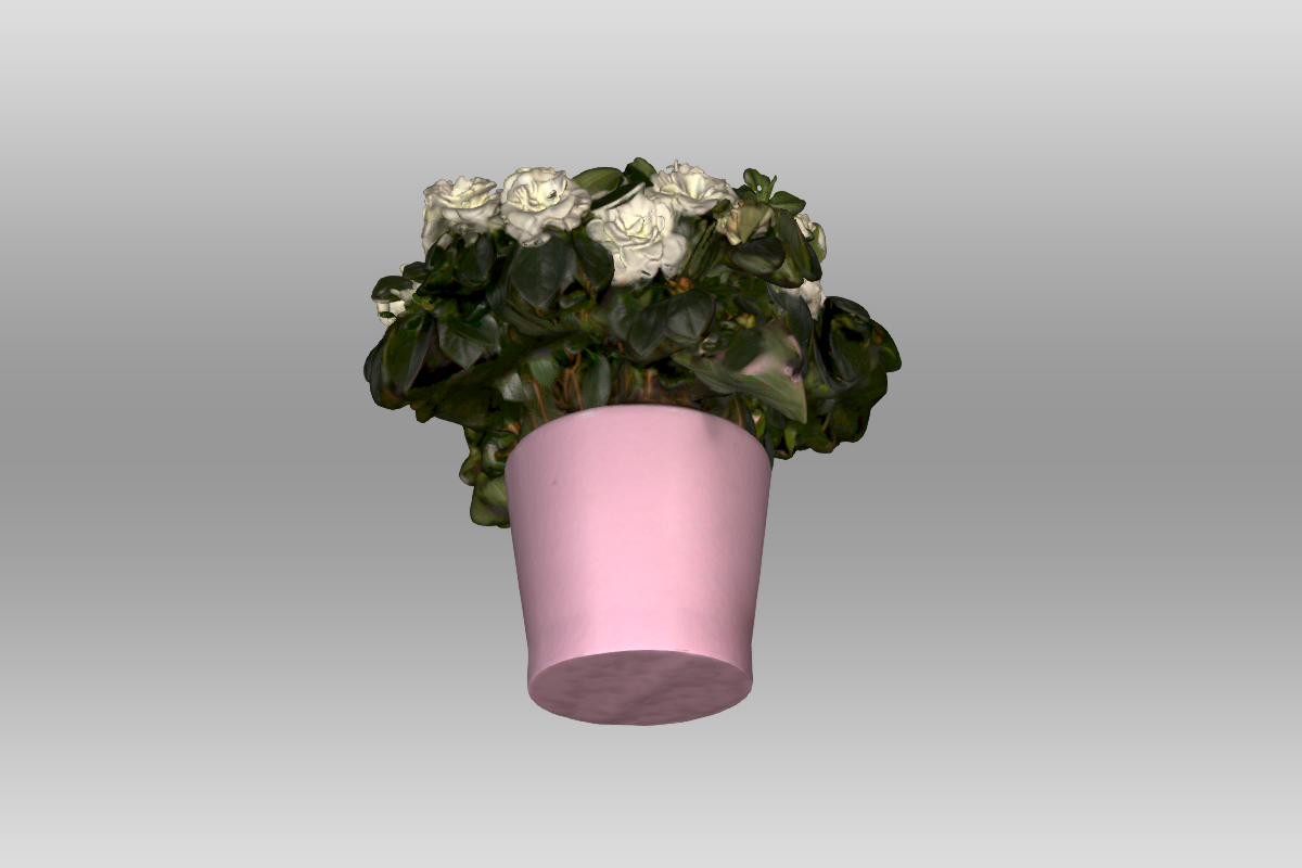 een screenshot van het 3D model van een plantje in een roze bloempot van onderkant bekeken.