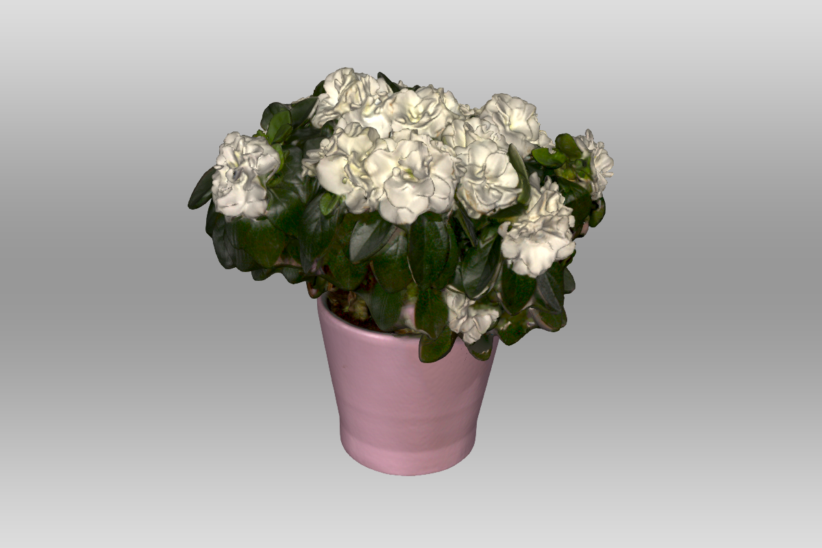 een screenshot van het 3D model van een plantje in een roze bloempot van opzij bekeken.