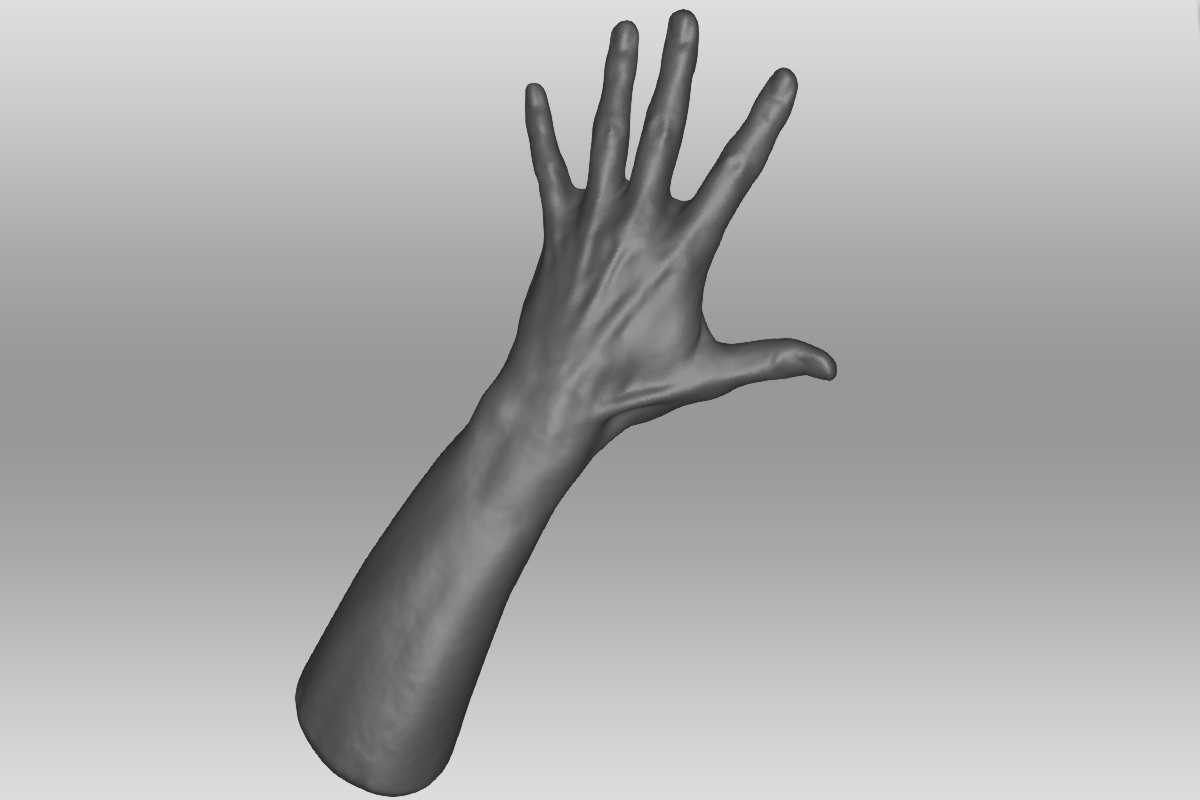 Een 3D model van de hand en onderarm waar de kleur niet toegevoegd is.