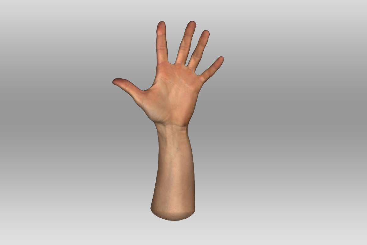Een 3D model bekeken vanuit het perspectief van de palm van een hand en een deel van de onderarm.