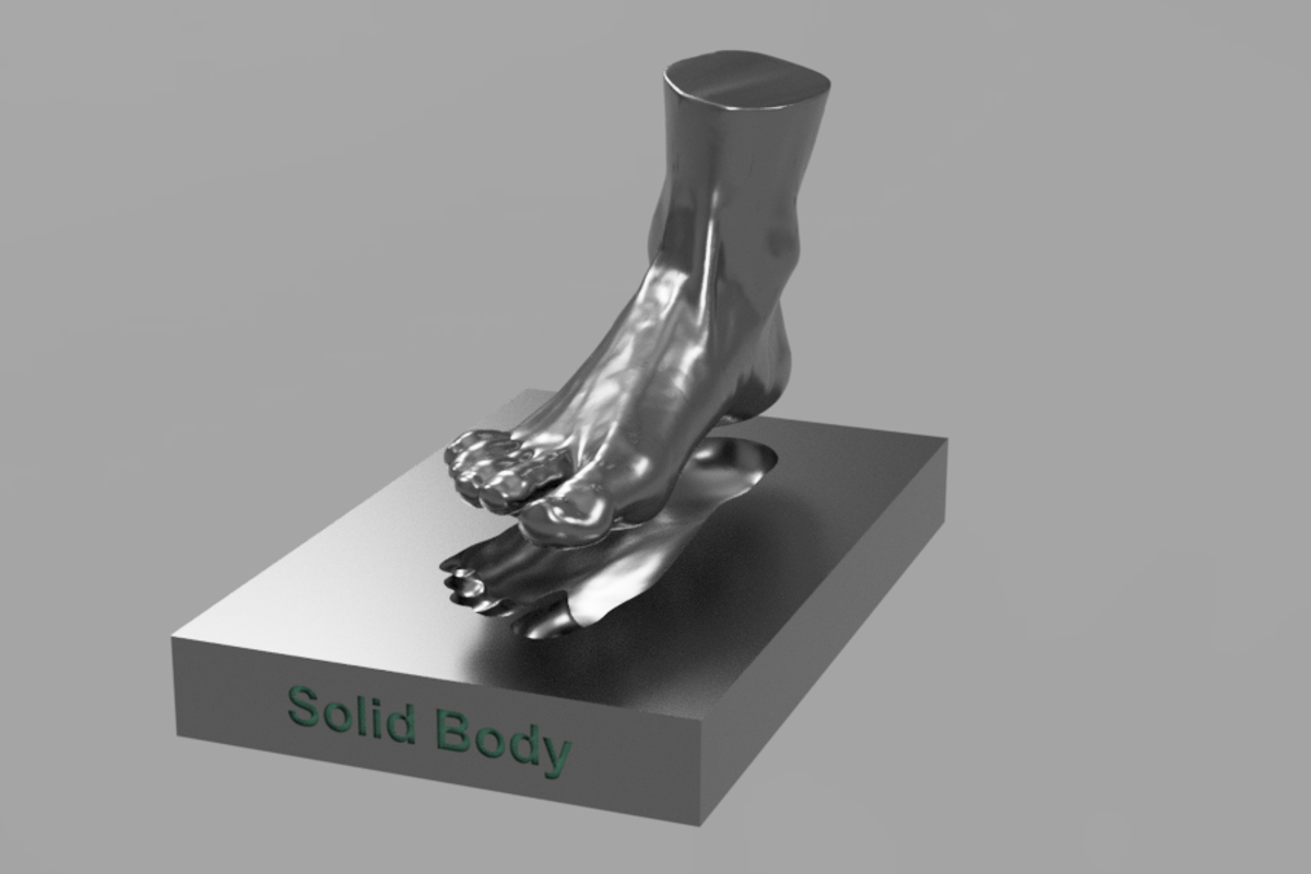 De afbeelding is een screenshot van het 3D model van de voet waarbij de kleur niet werd toegevoegd.